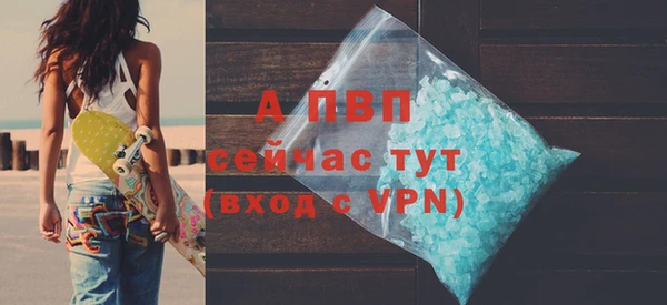 стафф Алексин