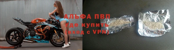 стафф Алексин