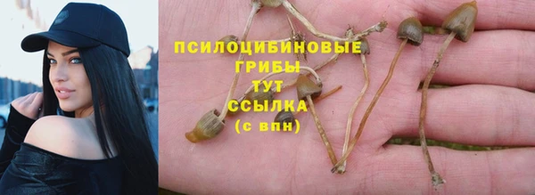 скорость Алексеевка