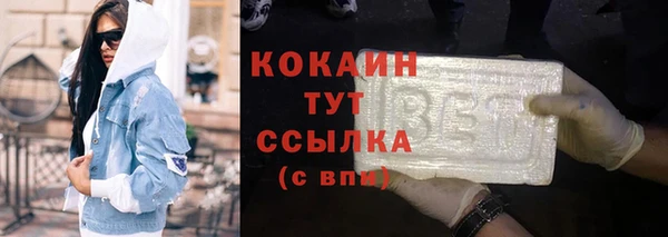 стафф Алексин