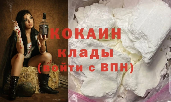 стафф Алексин
