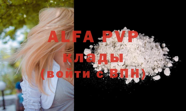 стафф Алексин