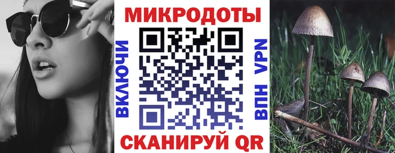Галлюциногенные грибы мицелий  Зеленоградск 